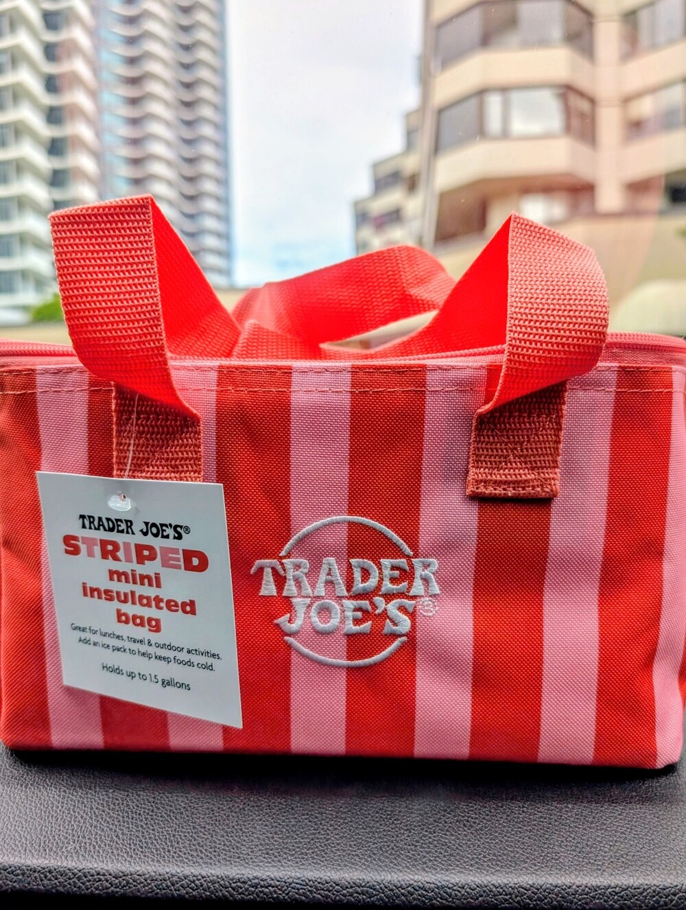 *NEW* Trader Joe's Mini Insulated Tote Bag - pastel red-and-pink stripes